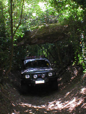 jonboy1254.jpg